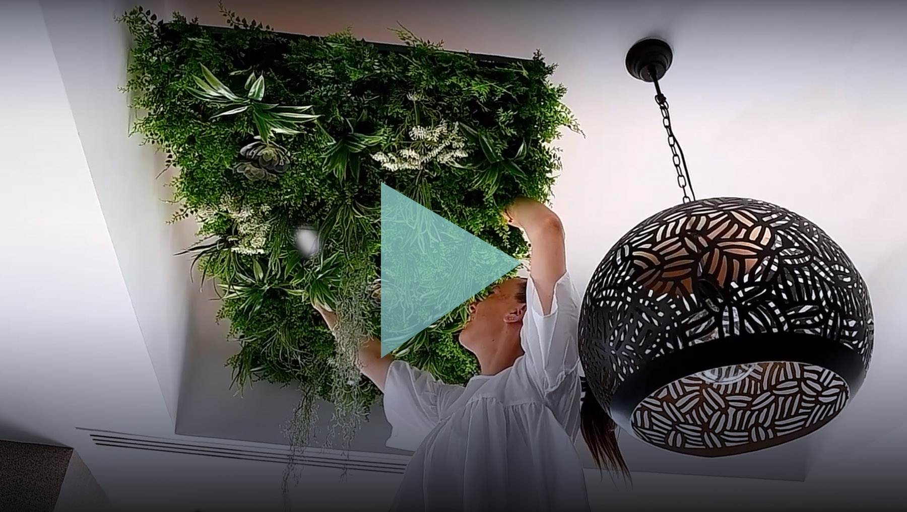 Vidéo : pose du plafond végétal